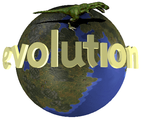 Evolution Media